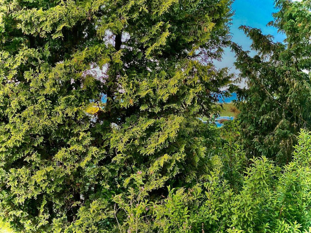 Casa Raphael Direkt Am Scharbeutzer Strand ภายนอก รูปภาพ